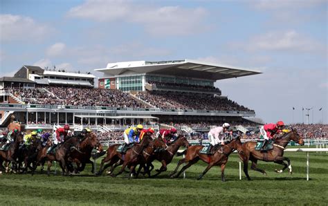 grand national tips racing post